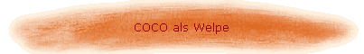 COCO als Welpe